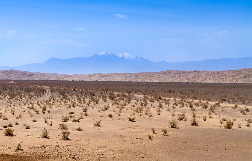 تور کویر (نیم روزه)